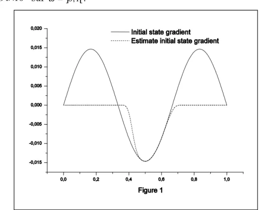 Figure 2.3: Gradient de l’état initial  ∇ y 0 (ligne continue) et gradient de l’état initial  estimé  ∇ˆ y 0  (ligne discontinue)