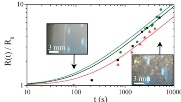 Fig. 2 Time evolution of the relative liquid volume contained in the foam (full symbols) and of the relative foam volume (open symbols) in free drainage configuration at 25  C for the reference foaming solution (TTAB 10 wt%, black squares) and foaming solu