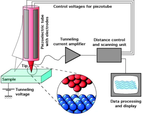 Figure  2.3  The  scanning  tunneling  microscope:  A  sharp  conducting  tip  is  approached  very  close  to  the  sample surface