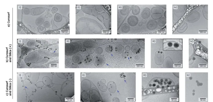 Fig. 1 Cryo-TEM pictures of Curosurf® (a), Curosurf® and Silica (+) NPs (b) and Curosurf® and Silica (  ) NPs (c)