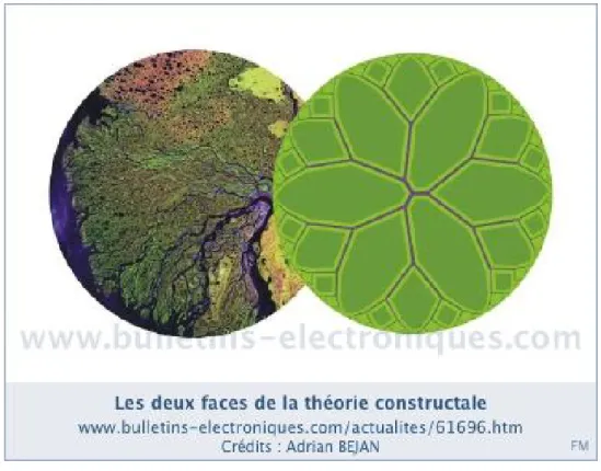 Fig. 6.5 Circuit électronique conçu à partir de l’image d’un delta. 