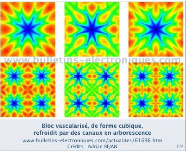 Fig. 6.6 Circuits de refroidissement de formes dendritiques. 