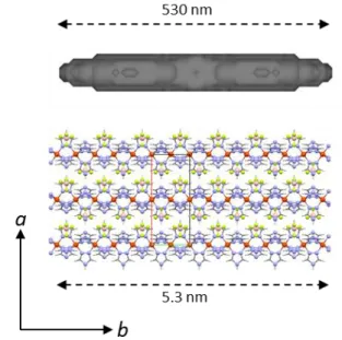 Figure  2.  View  of  the  coherent-domain  morphology  at  300K  (top)  and 