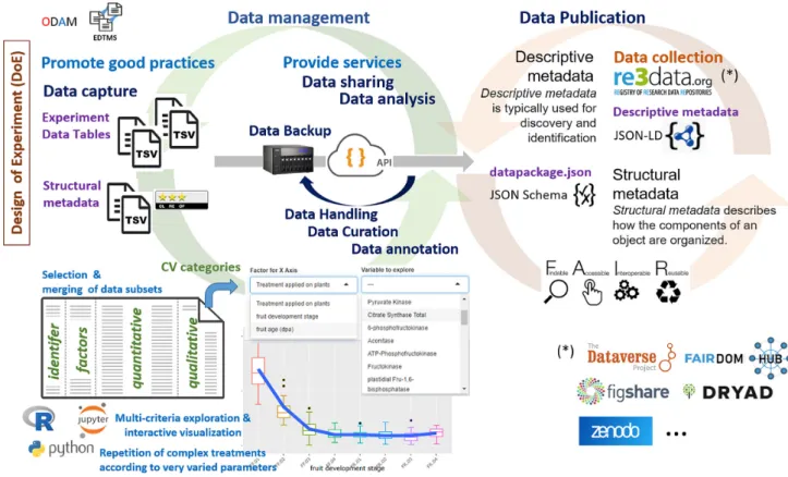 Figure 2: ODAM software suite: Light blue indicates the engine of the approach; purple, the data and metadata provided by the user; and dark blue, the activities related to the life cycle of the data