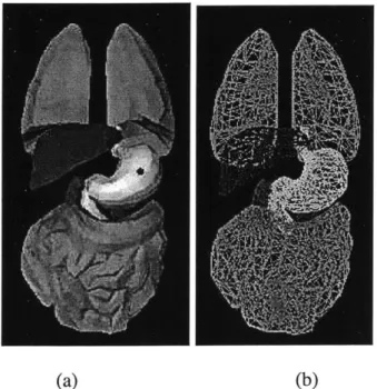 Figure 4-8.  Rendering  of 3D  virtual  organs.  (a)  The  small  dark  dot  represents  the  haptic probe