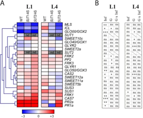 Figure 9. Transcript profiling of candidate genes in infected plants. (A) Inserted heat maps showing fold changes between infected and noninfected plants in each genotype in L1 and L4 leaves (n = 4)