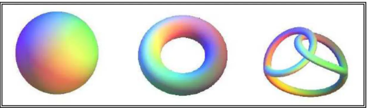 Figure I-9  :  Formes de topologie différentes.