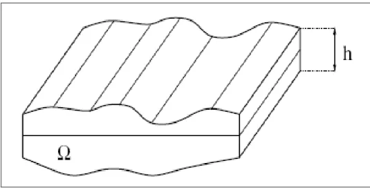 Figure I-1 : Membrane d’épaisseur variable. 