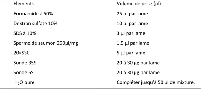 Tableau 5 : Composition de la mixture de la sonde 