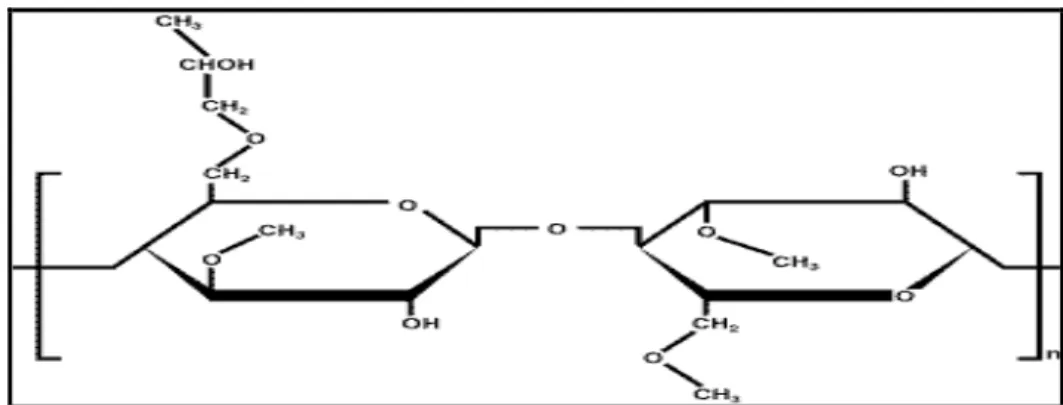 Figure 04. Structure de l’HydroxyPropylMéthylCellulose (HPMC) (HONG et KINAM, 2011)  II.1.2
