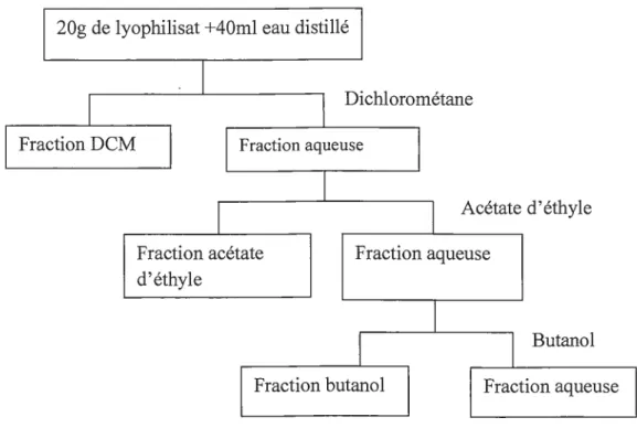 Figure 5  :  Séparation liquide-liquide des lyophilisats (Ekoumou, 2003). 