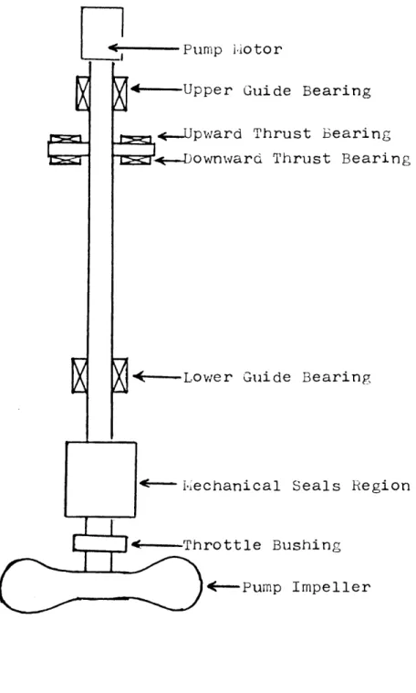 Figure  2.4.2  Location  of  Bearings (ref.-Maine  Yankee(7))
