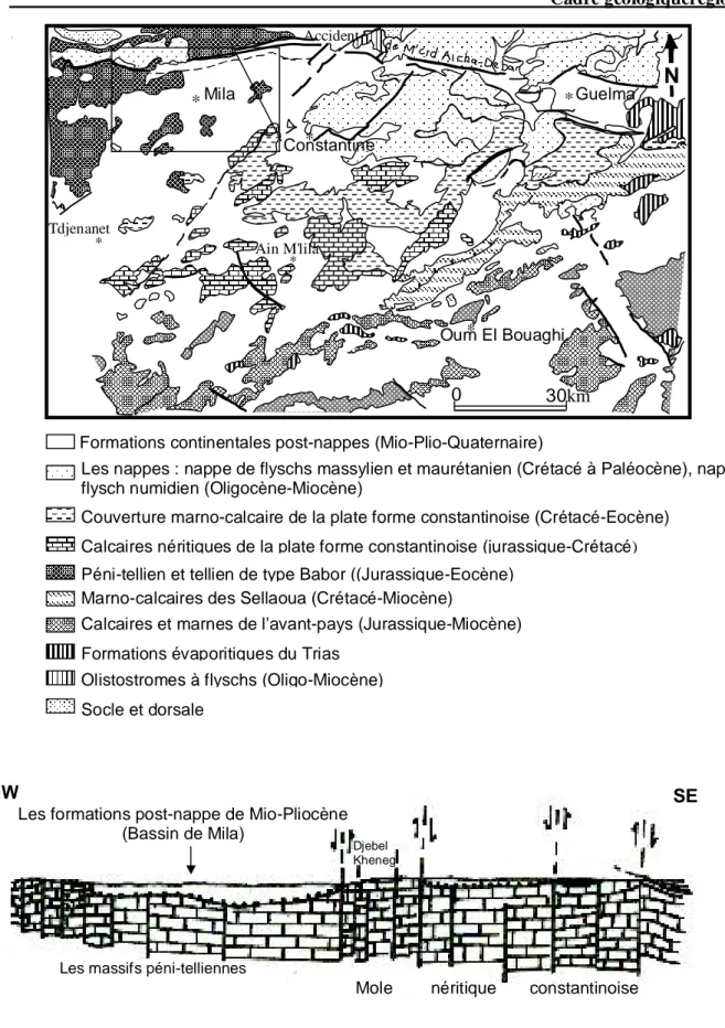 Fig. II-3 : carte et coupe géologique montrant la disposition de la formation post-nappe  du bassin de Mila (D’après, J.M.Vila ; 1980) 