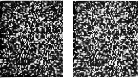 Fig.  14  Random-block  stereo  pair  depicting  a  square floating  before  a  background.