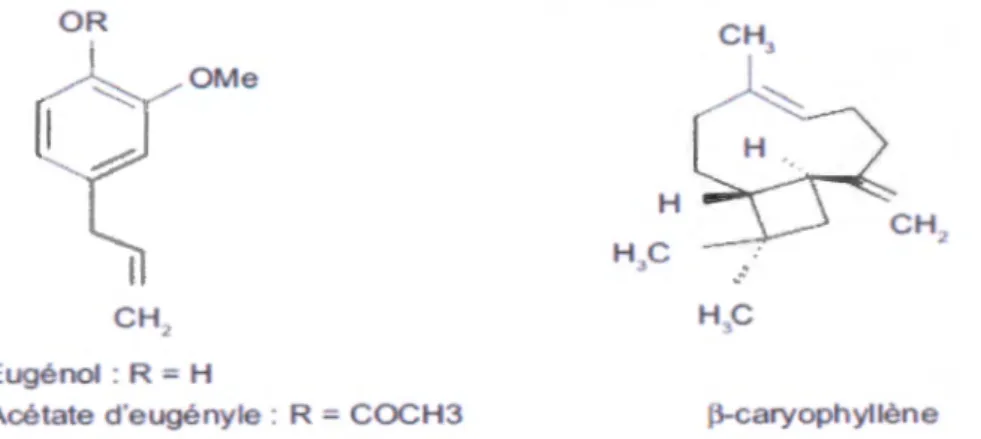 Figure  3 : Structures chimiques des trois composans des huiles essentielles  (Ghedira et al,  2010) 