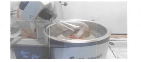 Figure 9: photo de l'évaporation de l'extrait méthanolique  IV.4.4.  Détermination du rendement d'extraction 