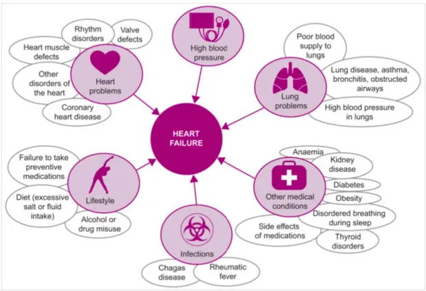 Figure 3: Summary of the aetiologies of heart failure adapted from (Ponikowski et  al., 2014)