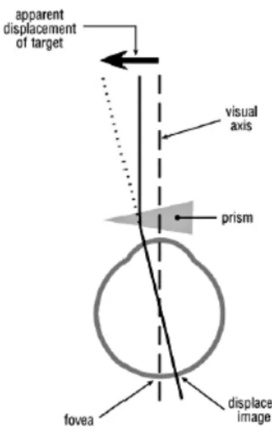 Figure 6. Illustration de la déviation latérale des images par un prisme base à droite