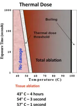 Figure 1.7 Thermal dose depending on temperature and exposure time. Reproduced from (Napoli et al.,  2013b)