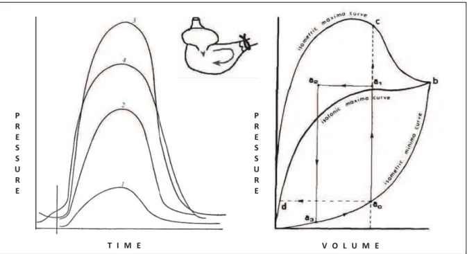 Figure 4. La fonction cardiaque reprŽsentŽe par les courbes pression-volume.!x!I=G8J&gt;!H\&gt;6B49;&gt;A8&gt;!3&gt;!O9=Aw!!CG9!