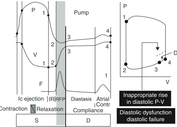 Figure 8. Division du cycle cardiaque en tant que pompe musculaire et courbe pression-volume correspondante