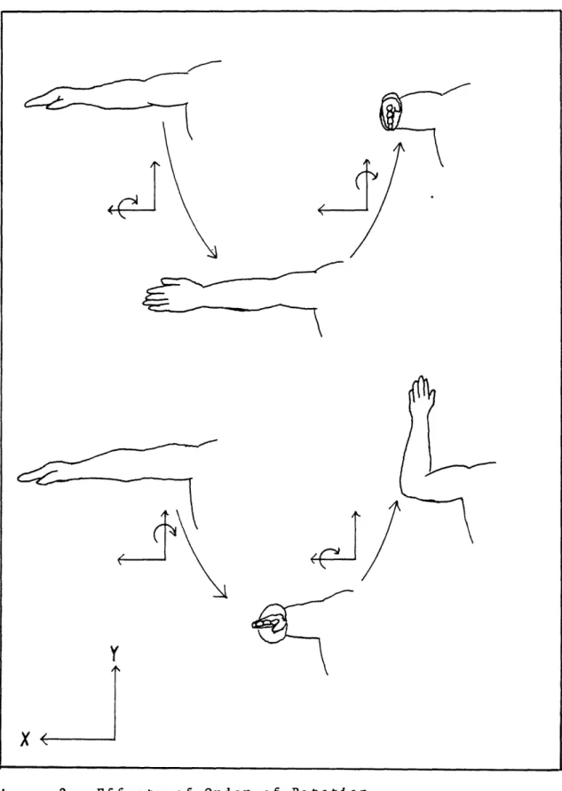 Figure  2 Effects  of  Order  of  Rotation