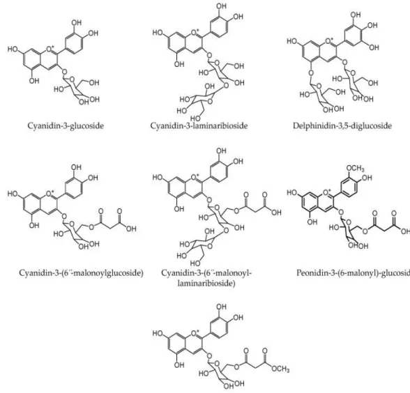 Figure 03 : Structure des anthocyanes identifiées des oignons rouges  (Metrani et al., 2020)