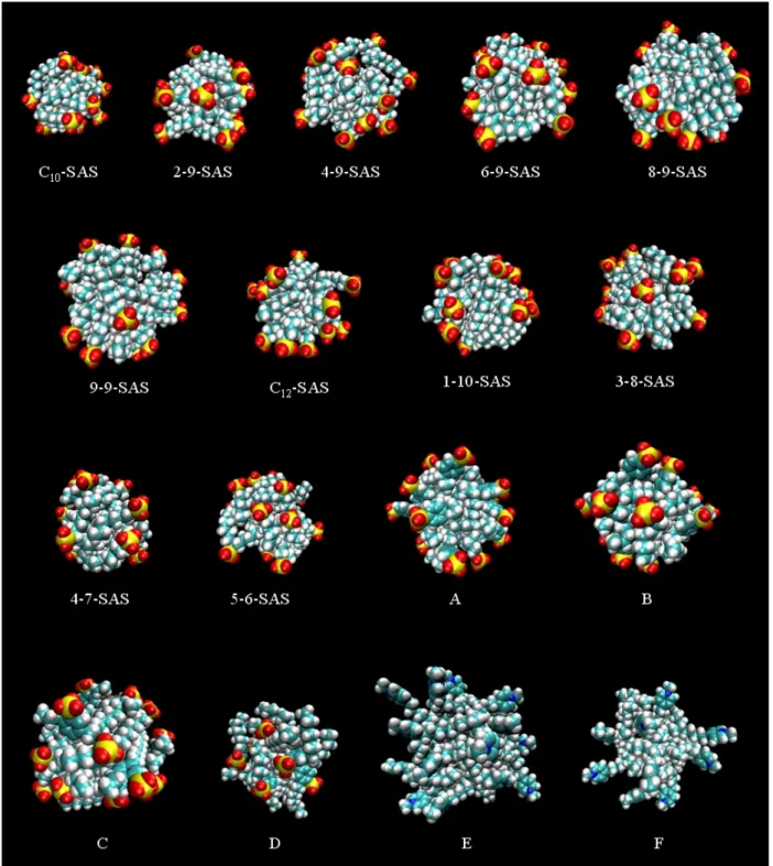 Figure 3-3: Snapshots of the post-equilibration structures of the simulated micelles corresponding to each of the ionic linear and branched surfactants considered in this thesis