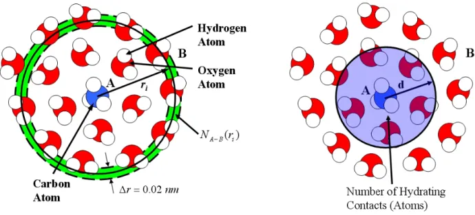 Figure 3-4: On the left: illustration of the number RDF (the green ring region at r i ) of hydrogen and oxygen atoms (the B atoms) with respect to a methyl group (the A atom), corresponding to one simulation time frame