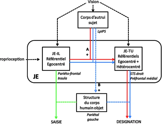 Figure 10 : Proposition de modèle de désignation et de saisie. Le LpIPS a un double  rôle  A  &amp;  B