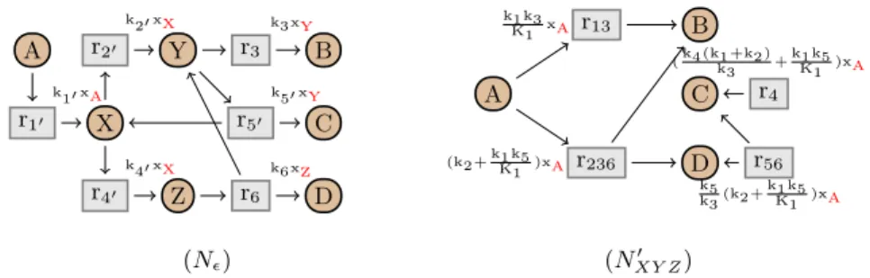 Fig. 9. Initial network (N  ) and network (N XY Z 0 ) obtained after elimination of X, Y , dependent rule r 15 and then Z
