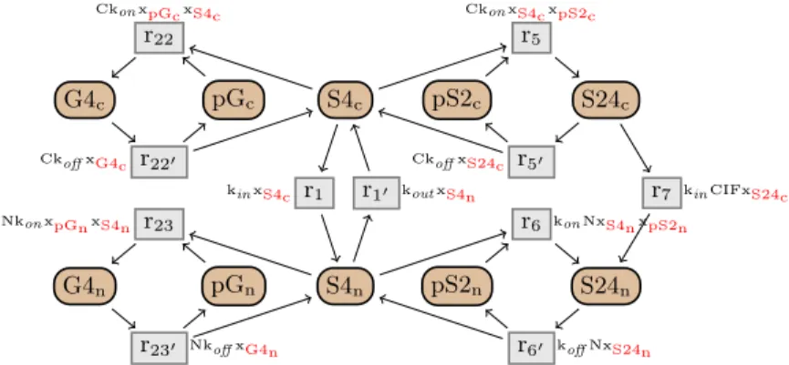 Fig. 10. Subnetwork of the Smad signal transduction network in [21].