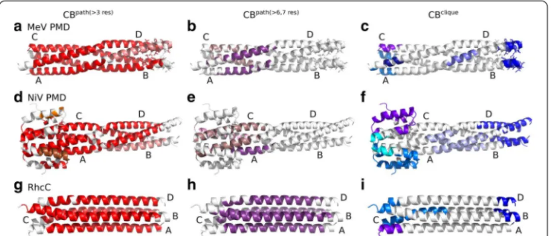Fig. 2  Communication Blocks of MeV PMD, NiV PMD and RhcC identified by COMMA2. CBs path  and CBs clique identified by COMMA2 are mapped on the structure of a–c MeV PMD (PDB code: 3ZDO), d–f NiV PMD (PDB  code: 4N5B) and g–i RhcC (PDB code: 1YBK)