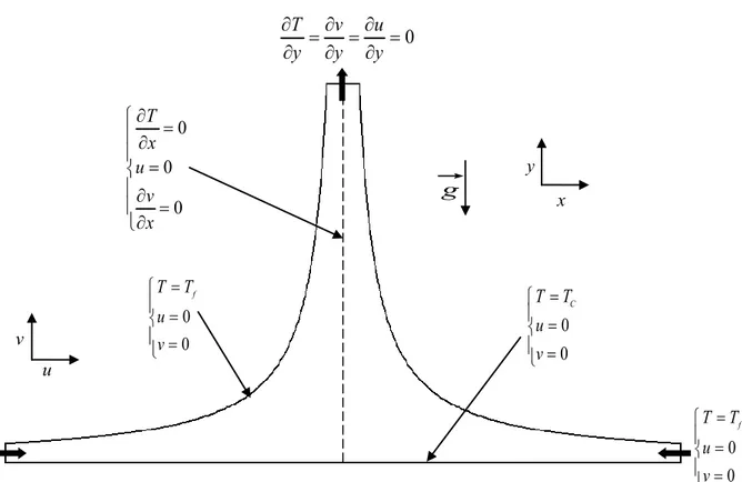 Figure 2.1 Présentation physique du problème et conditions aux limites 