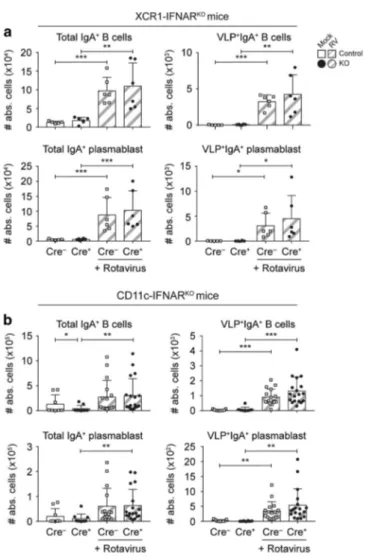 Fig. S5C). Thus, mLN cDC1s appear to activate latent TGF β to promote IgA class switching via α v β 8, a process that could be replicated in vitro using FACS-sorted migratory CD103 + CD11b − mLN cDC1