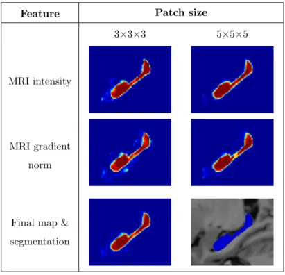 Figure 7: 2D visualizations of estimator maps for several features and several patch sizes for the EADC-ADNI dataset