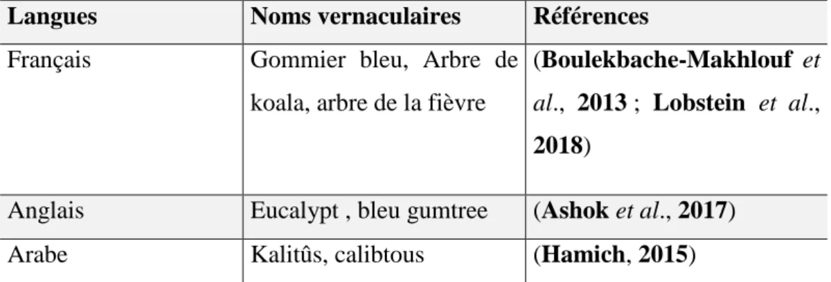 Tableau 01.  Les différents noms vernaculaires d’E globulus. 