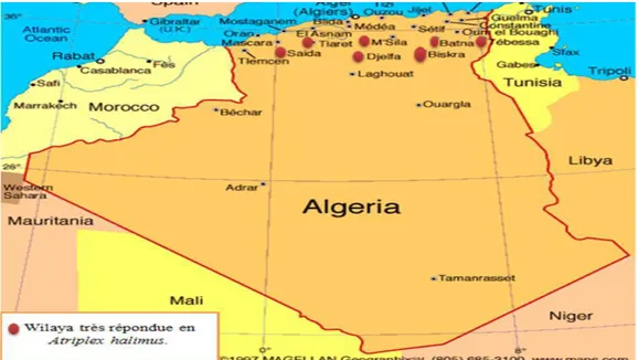 Figure 02 : Répartition de l’Atriplex halimus en Algérie (Bouchoucha et Ouazeta, 2018)