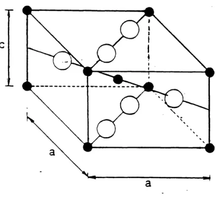 Fig.  5.1 The tetragonal  unit  cell  of Ti02-  The closed  circles  correspond to the metal atoms and  the open circles correspond to oxygen  atoms.