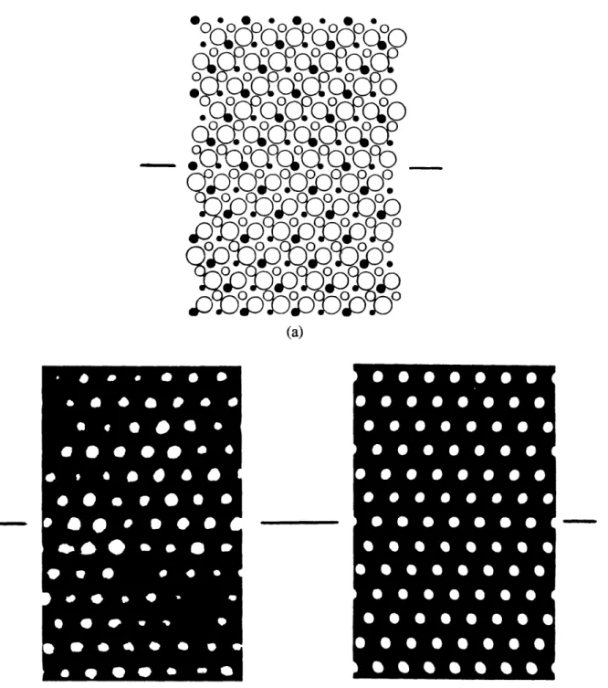 Fig.  5.5  (a)  Computed  equilibrium  structure  of  the  (101)  twin  boundary  with  closed  and open circles  representing  metal and  oxygen  ions respectively.