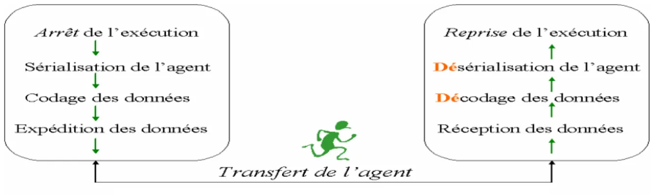 Fig 1.4- Processus de migration de l'agent mobile [45] 