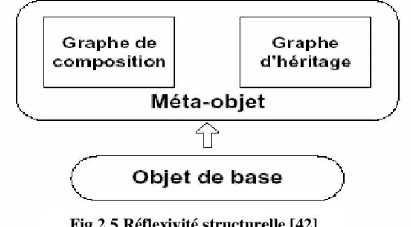 Fig 2.5 Réflexivité structurelle [42]