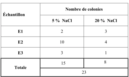 Tableau 6.  Nombre de souches obtenus des 3 échantillons du sol.