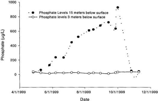 FIGURE  1.5  Field  Data of Phosphorus  Concentrations at Different  Depths