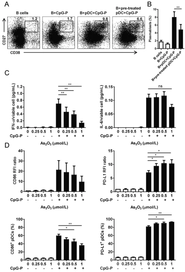 Figure 5 As 2 O 3 reduces pDCs’ ability to induce plasmablast differentiation of B cells