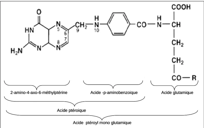 Figure 6 : Structure de l’acide folique.( Lucock, 2000)           