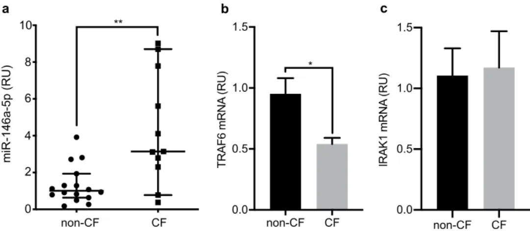 Figure 2.  Up-regulation of miR-146a and down-regulation of TRAF6 mRNA in CF macrophages
