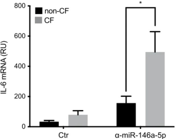 Figure 6.  Increased IL-6 mRNA levels in miR-146a knock-down CF macrophages in response to LPS