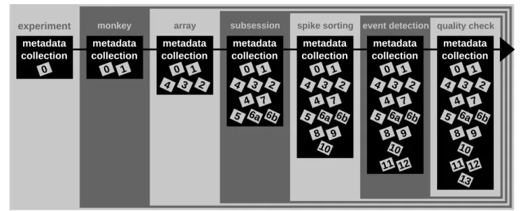 FIGURE 2 | Enrichment of the reach-to-grasp metadata collection over time. Small gray and labeled boxes represent files which contain metadata (cf.