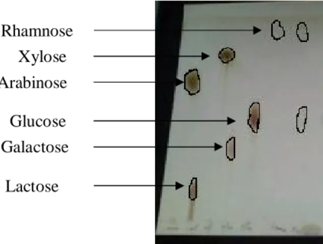 Tableau V-2 : les données spectrales de RMN 1 H de composé P 91 . 